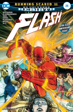 Flash (2017) # 25 (DC Comics 2017) Flash (2017) # 25 (DC Comics 2017)