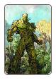 Swamp Thing # 25 (DC Comics 2013)